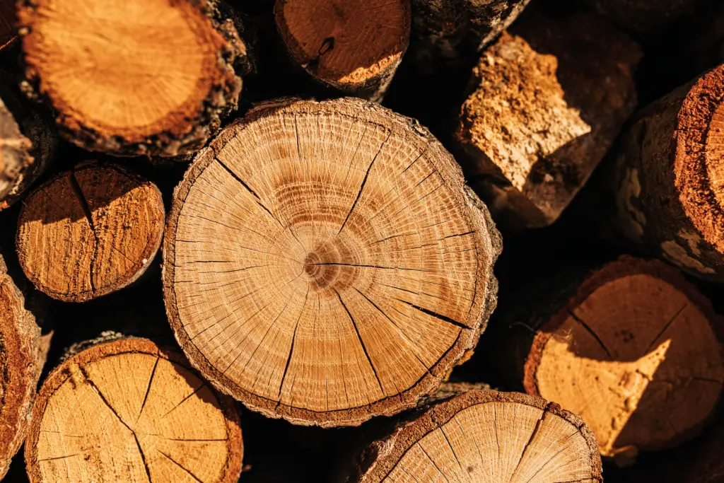 Close-up of natural wood logs showing grain, growth rings, and warm color variations